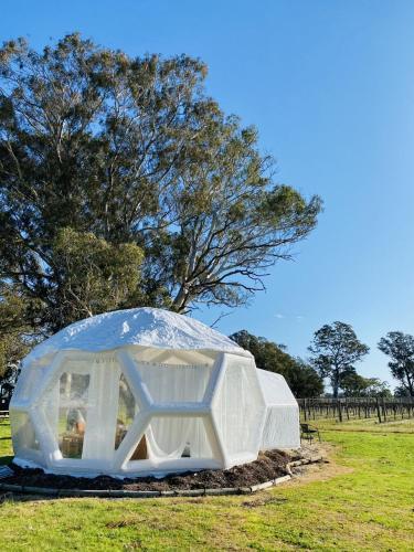 . Coonawarra Hampton Bubble 2