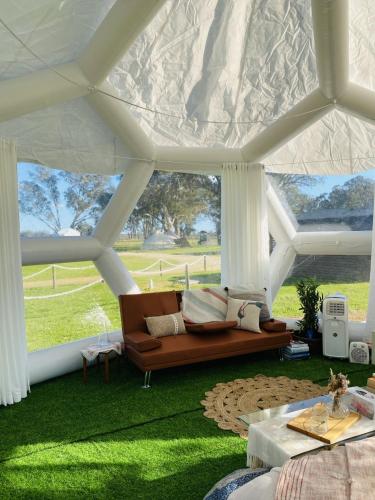 Coonawarra Hampton Bubble 3 in Coonawarra