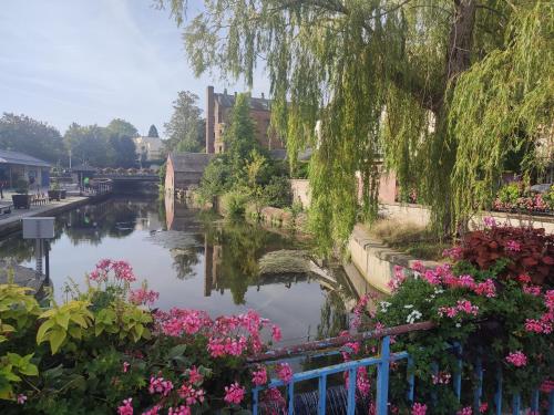 Green cosy in Louviers