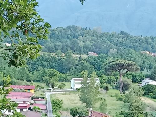 Affittacamere La Foresta di Sopra