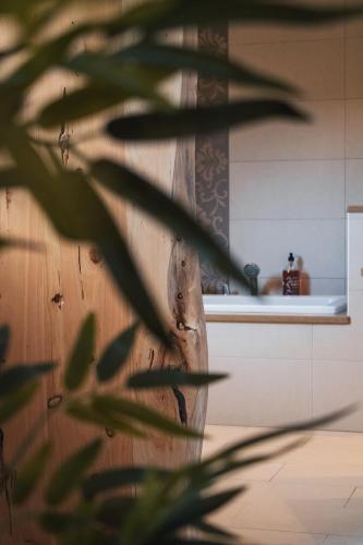 ห้องน้ำ, Boutique Hotel Serena Vista in วาเลเดโลโบส