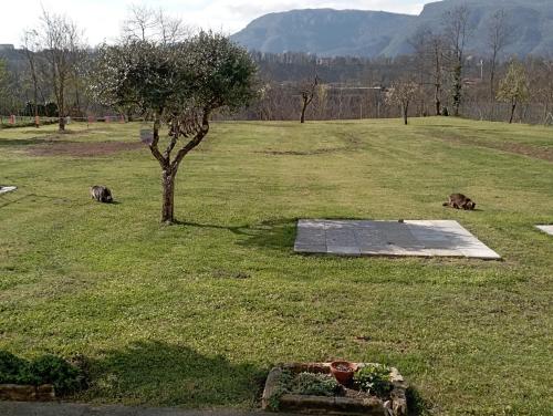 Affittacamere La Foresta di Sopra