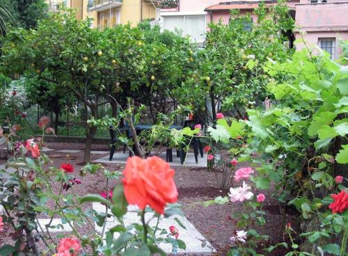 Apartment with private Garden