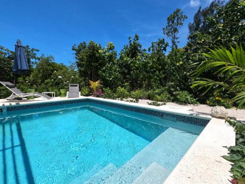 Gracehaven Villas -Choose you own private villa with pool - 250 yds to Grace Bay beach