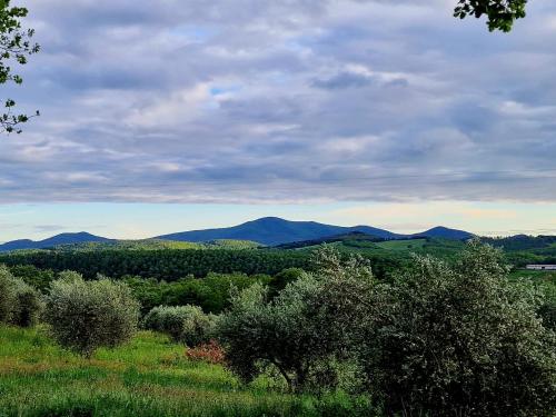 Agriturismo Poggio La Buca