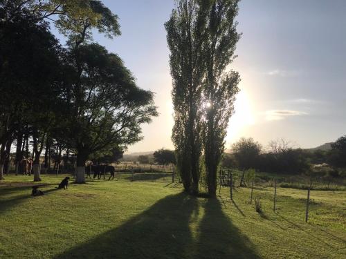 Garden, Campo Las Marias in Ascochinga