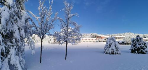 L'ESCANDILLE Village Vacances - image 4