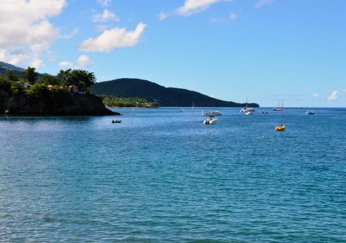 Cerca de lugares turísticos, Villa Des Sources Chaudes in Bouillante