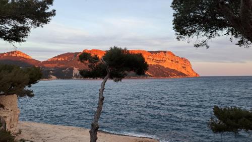 Superbe appartement piscine, tennis, vue mer et décoré avec goût Superbe appartement piscine, tennis, vue mer et décoré avec goût