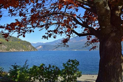 The Kootenay Vacation Sensation! Views, Hotsprings, Hiking, Caves, Skiing and more!