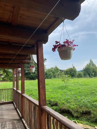 Садиба Свидюків, Staryy Mizunʼ (zdjęcie 2)