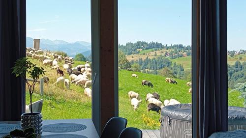 Lux Houses DOMEK z widokiem na Tatry z prywatnym jacuzzi