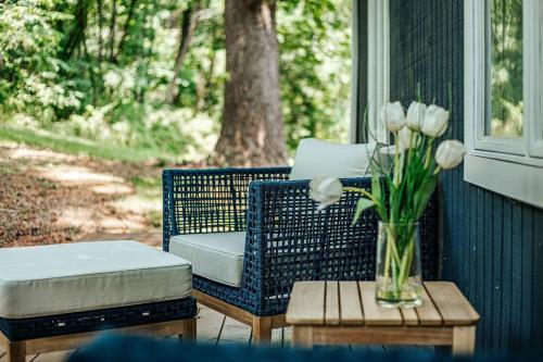 Harmony Ridge Hideaway: mountain retreat w/hot tub in Front Royal, USA