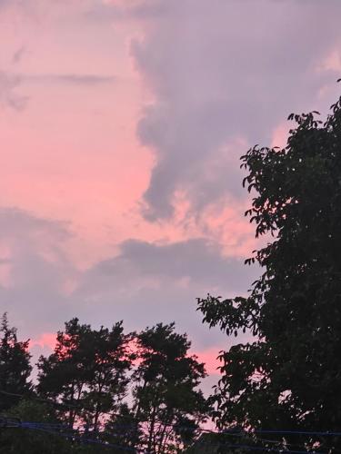 . Ferienwohnung Regenbogen