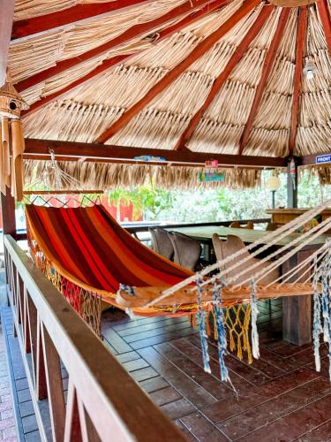 Kert, Woodstock Palmresort Curaçao (Woodstock Palmresort Curacao) in Willemstad városközpont