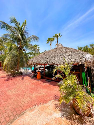Kert, Woodstock Palmresort Curaçao (Woodstock Palmresort Curacao) in Willemstad városközpont