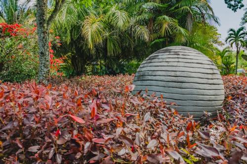 Hotel Vivero Arte Vivo I Quindío I Eje Cafetero