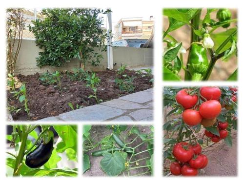 Gaia cottage with garden