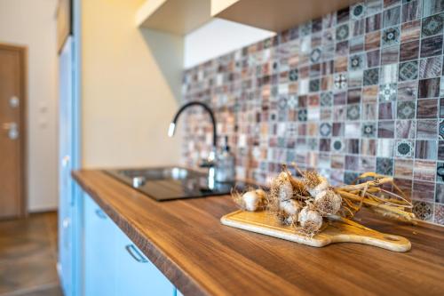 virtuve, LASKARA Garden Apartment by Prague Forest in Sestajovice
