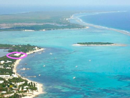 . Conch Club Cottage