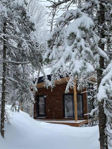 Tanières MicroChalets Charlevoix