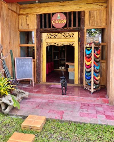 Chakra Tavern Bali