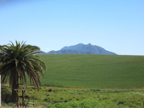 Blou Porselein Guestfarm