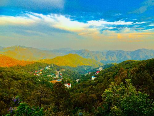 Hotel Wood Stock Luxury - A Boutique Property - Penthouse - Open Air Restaurant & Terrace