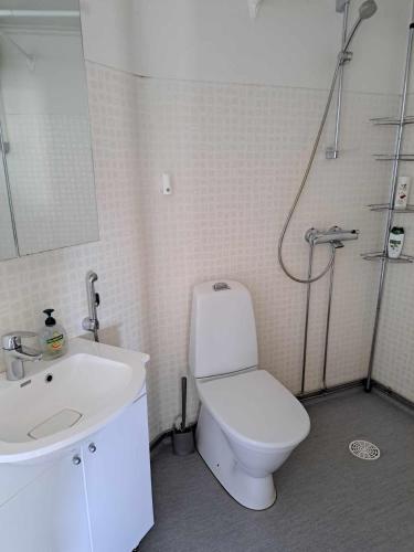 Bathroom, Lagenhet Nybrovagen in Lapvaartti