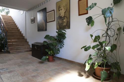 New boutique apartments house Gabrijela Mrak in old Tolmin