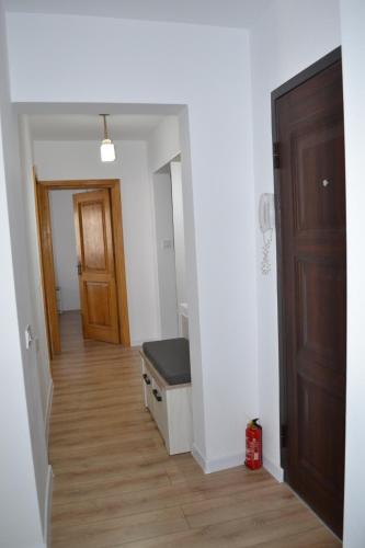 Ania's Apartment in Horezu