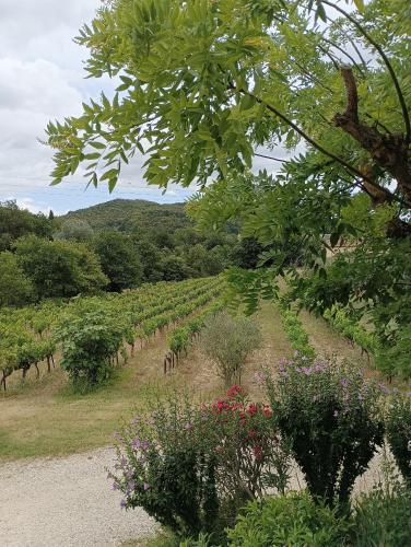 Gîte la glycine avec piscine au mas de Saint Jean