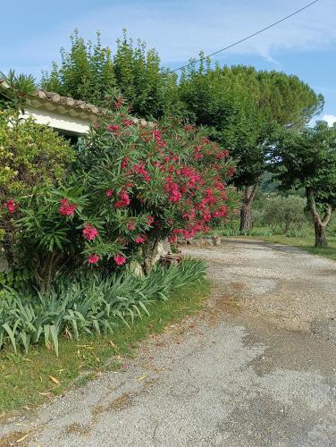 Gîte la glycine avec piscine au mas de Saint Jean