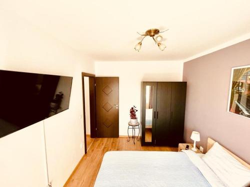 Apartament Sofia, Sibiu (fotografie 9)
