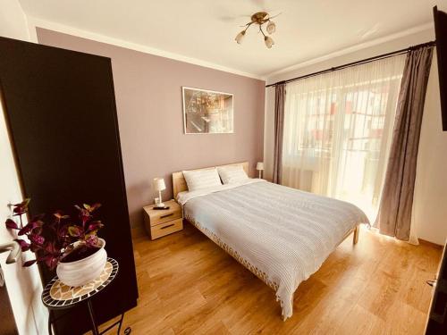 Apartament Sofia, Sibiu (fotografie 10)
