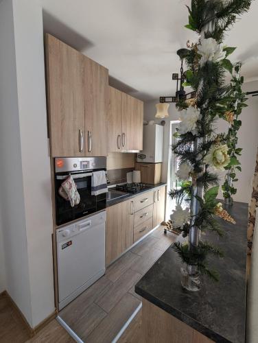 Apartament Sofia, Sibiu (fotografie 7)