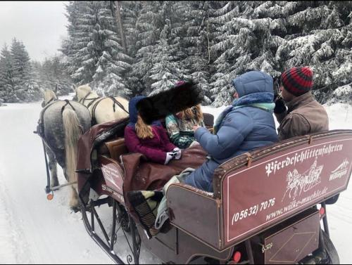 Fachwerkhaus im Sauerland - Goldhase Anno 1700