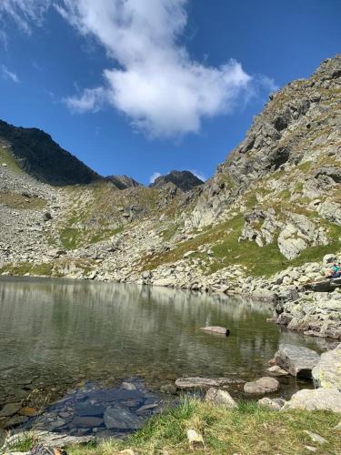 Casa Oaspeti Transfagarasan