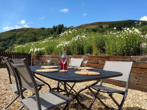 Stargazing lodge with amazing views. gîte à louer Nantmel