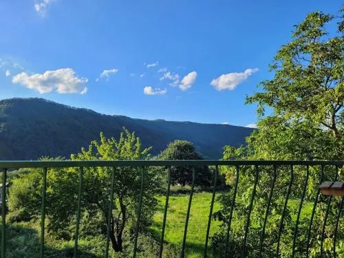 Willi's Moselschlösschen in Neumagen-Dhron, Deutschland