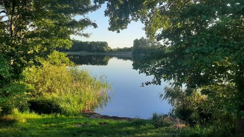 Skats, Villa Kunterbunt: Urgemütlich und fast perfekt (Villa Kunterbunt: Urgemutlich und fast perfekt) in Hohen Wangelin