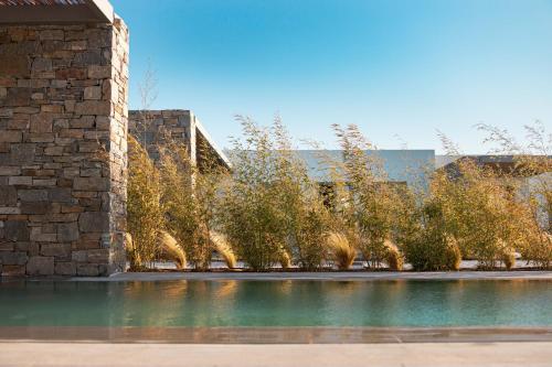 Cove Paros - image 8