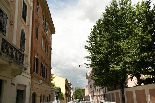 Colosseo Apartments and Rooms - Rome City Centre - image 3