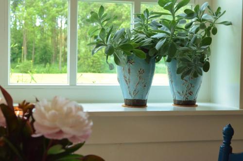 B&B Louisehoeve - image 6