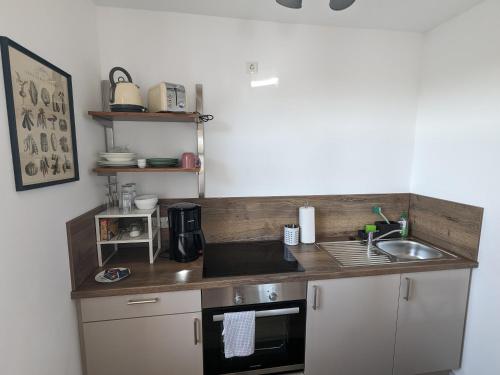 virtuve, Ferienwohnung Kaffestübchen (Ferienwohnung Kaffestubchen) in Oberschwarzach