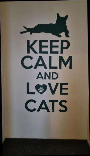 Green Cat Rooms – Krakow, NY
