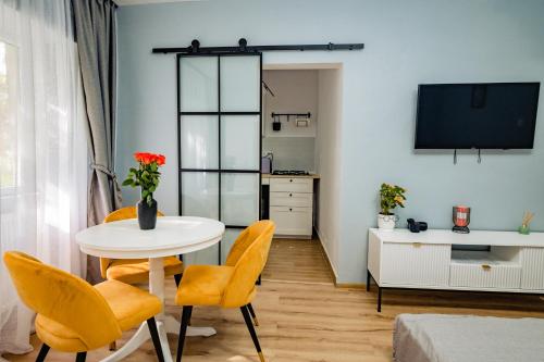 Modern studio D-va N - Apartment - Zalău