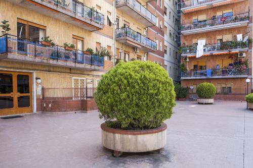 B&B La Contessa