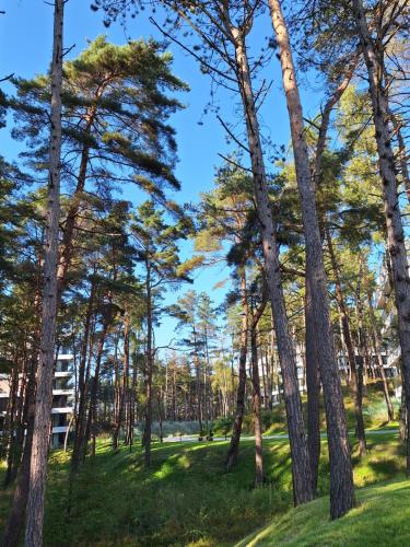 Apartament Shellter Sun&Sea Rogowo koło Kołobrzegu_Dźwirzyno_nocleg