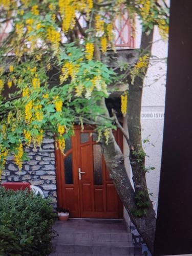 Roxana vendégház (Roxana vendeghaz) in Szilvasvarad